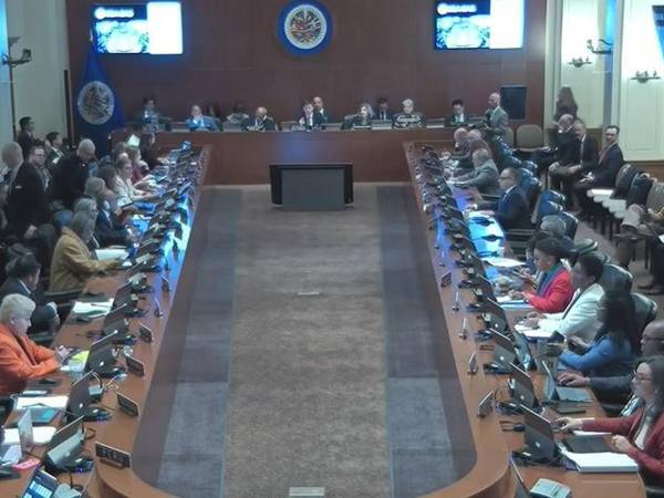 Todos los participantes de la sesión extraordinaria estuvieron en la sede de la OEA a excepción de Marlon Ochoa, que compareció vía zoom.