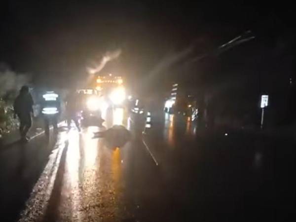 El cuerpo del menor quedó en medio de la carretera sin signos vitales.