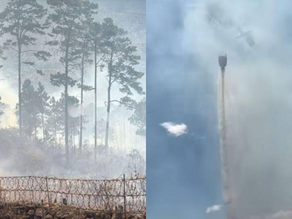 Un voraz incendio que comenzó en el sector de El Chimbo, se ha extendido hacia las áreas verdes y algunas residencias en El Hatillo, amenazando con su paso al pulmón de la capital este jueves 12 de marzo. A continuación las imágenes y los detalles.