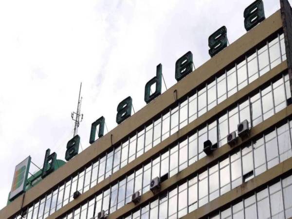 Hasta L400,000 por productor es el máximo de los financiamientos que ofrece Banadesa en al menos 15 actividades agropecuarias.