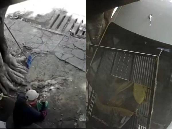 Un video captado por las cámaras de seguridad ubicadas en el lugar de los hechos grabó el momento exacto en que un busito embistió a un hombre mientras se encontraba sentado almorzando. Aquí el cuadro a cuadro de lo ocurrido.