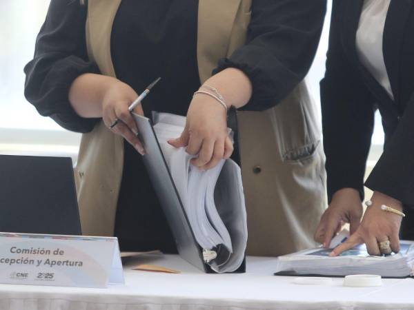El CNE recibirá las ofertas de las empresas que licitarán por el manejo del TREP, la recepción de propuestas estará abierta hasta las 10:00 de la mañana en el edificio ubicado en la colonia Matamoros.