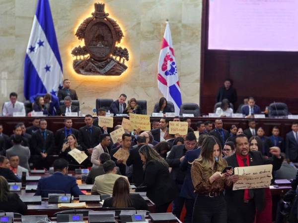 Los diputados de Libre se han manifestado en varias ocasiones en el hemiciclo.