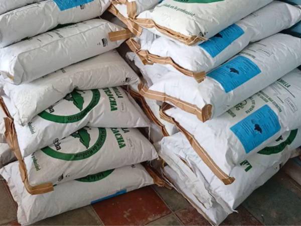 Las autoridades locales de Marcovia comenzaron a entregar apoyo en fertilizantes y semillas a los pequeños productores. Pese a la falta de lluvias quieren estar preparados para la postrera.
