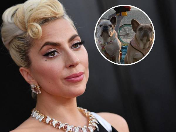 En el momento del secuestro, Lady Gaga ofreció una recompensa de 500 mil dólares por recuperar sus perros.