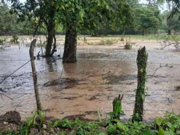 Una onda tropical sobre el territorio nacional mantiene bajo vigilancia a varias zonas de Honduras debido al pronóstico de lluvias, chubascos, vientos racheados y actividad eléctrica durante este sábado 11 de julio, informó la Secretaría de Gestión de Riesgos y Contingencias (Copeco).