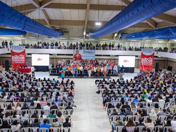 <b>Más del 58 % de las becas ha sido otorgado a mujeres, fortaleciendo la equidad de género.</b>