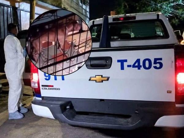 Perro pitbull mata a su dueño en colonia Hato de Enmedio de Tegucigalpa