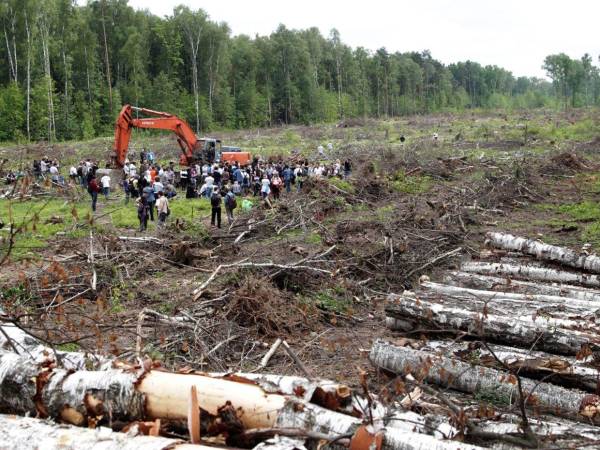 Activistas del Movimiento en Defensa del Bosque de Jimki detienen una tala de árboles para parar la construcción de una nueva autopista que une la capital rusa con San Petersburgo.