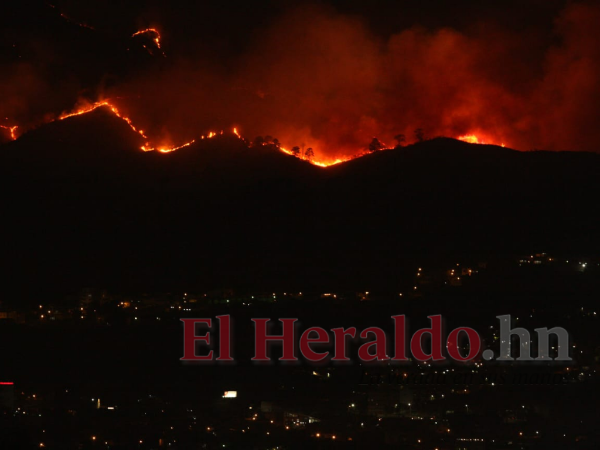 Varias hectáreas de bosque se han reducido a cenizas por el voraz incendio.