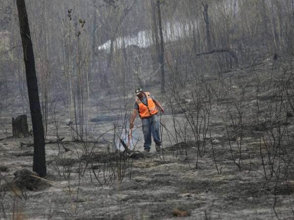 El pasado 19 de abril de 2026 un incendio forestal afectó la zona boscosa de la aldea La Montañita, al oriente de Tegucigalpa. Los incendios han devastado 7,000 hectáreas de bosques en este 2026.