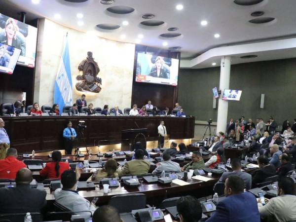 El Congreso Nacional es uno de los actores del deterioro democrático al no sesionar hace semanas mediante el pleno de parlamentarios.