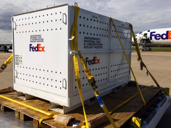 Trump eliminó la excepción de aranceles a los envíos pequeños procedentes de China, afectando en especial a gigantes de las ventas en línea como Shein y Temu.