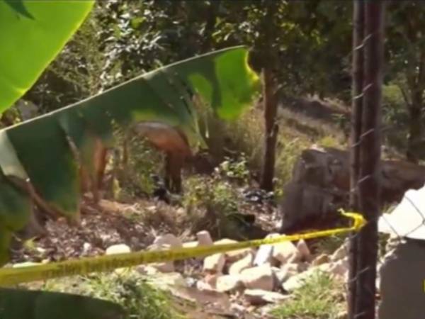 El cuerpo estaba en las cercanías de una construcción del sector S de Los Pinos.