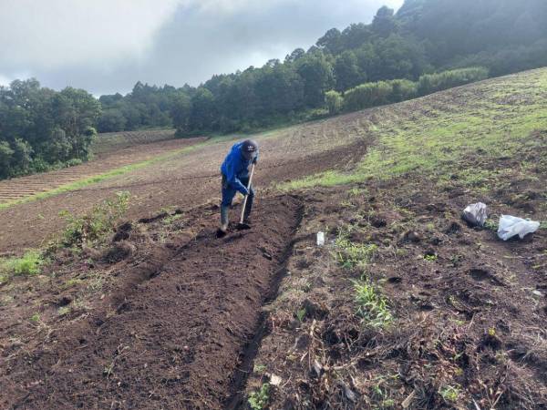 La irregularidad del invierno mantiene en crisis a comunidades rurales que dependen del agua de lluvia para sostener sus cosechas de granos y verduras.