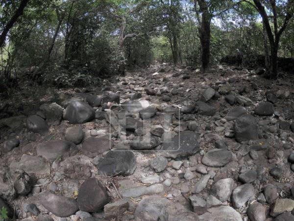 La sequía que golpea a Honduras está afectando principalmente a los municipios de la zona sur, centro y parte del oriente y occidente del país.