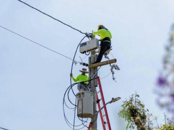 Las negociaciones se concentran en asegurar un modelo de compras ágil y transparente, blindando al mismo tiempo la titularidad estatal del patrimonio energético.​
