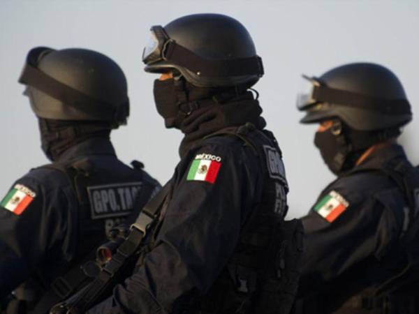 Asesinan a 11 policías en México durante la primera quincena de 2026, según ONG