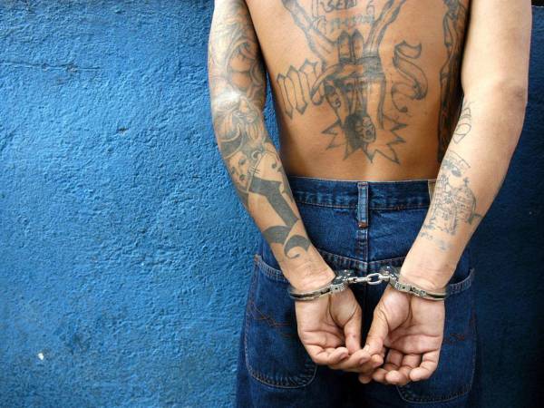 Canadá concede resguardo a hondureño que colaboró contra la MS-13.