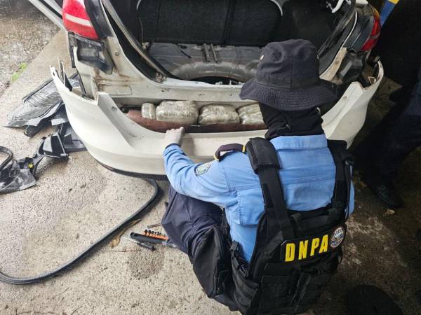 Agentes de la Policía Nacional asignados a la Dirección Nacional de la Policía Antidrogas, encontraron los paquetes de marihuana en compartimiento falso del vehículo turismo.