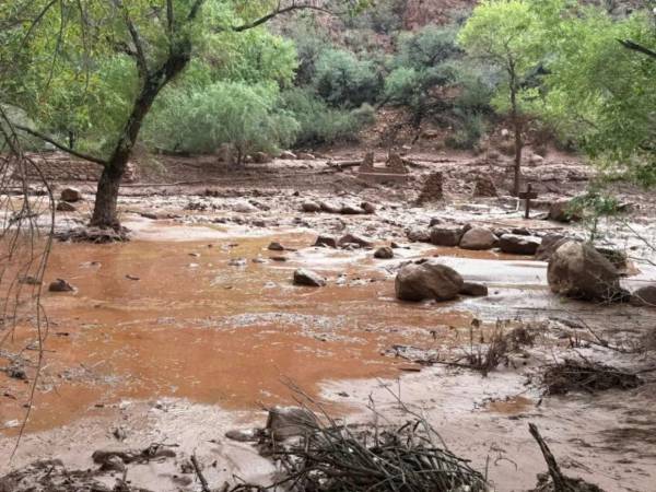El Parque Nacional del Gran Cañón ocupa el cuarto lugar entre los parques nacionales más visitados de los Estados Unidos.