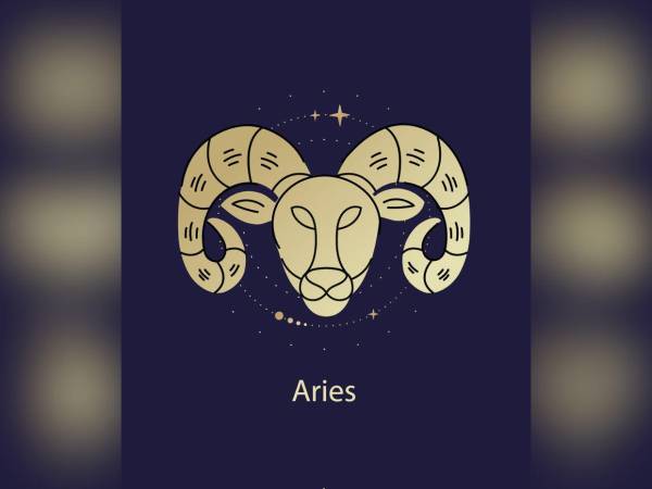 ARIES (21 de marzo - 20 de abril). Aunque has sacado adelante muchos proyectos personales, todavía te quedan en el tintero otros de tipo profesional, que no terminas de perfilar. La alineación astral puede ayudarte a alcanzar tus metas, pero ya puedes estar orgulloso de tus logros.