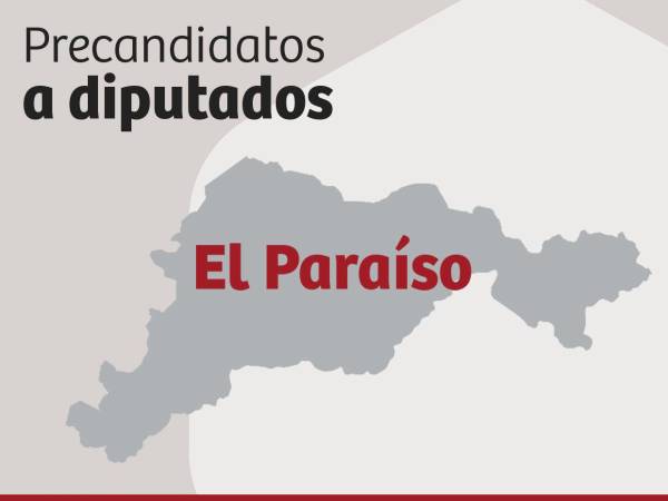 Los precandidatos a diputados de las tres fuerzas políticas buscarán ganar en las primarias para obtener una candidatura en las elecciones generales en El Paraíso.