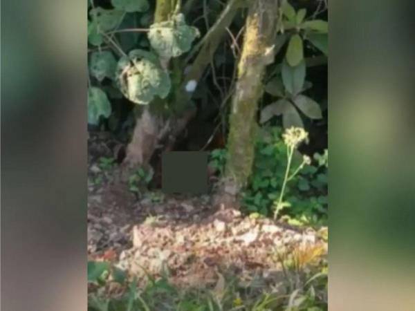 Como Adonis Madrid y José Lenin Rodríguez fueron identificados los dos jovencitos ejecutados en San José de Colinas, en el departamento de Santa Bárbara.