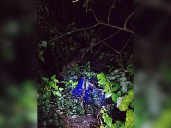 El vehículo en el que se conducía quedó atrapado en la maleza.