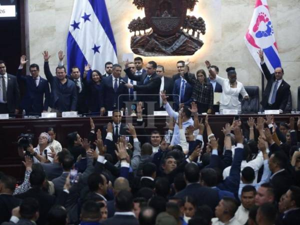En la sesión del lunes 24 de marzo fue aprobado el inicio del juicio político contra Johel Zelaya.