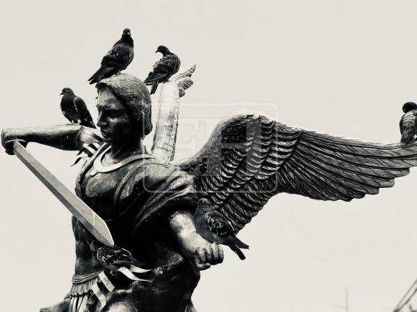 La iglesia Santa María de los Dolores, el primer templo católico del antiguo Real de Minas de Tegucigalpa, revela su belleza histórica rodeada por el vuelo de palomas bajo una composición en blanco y negro.