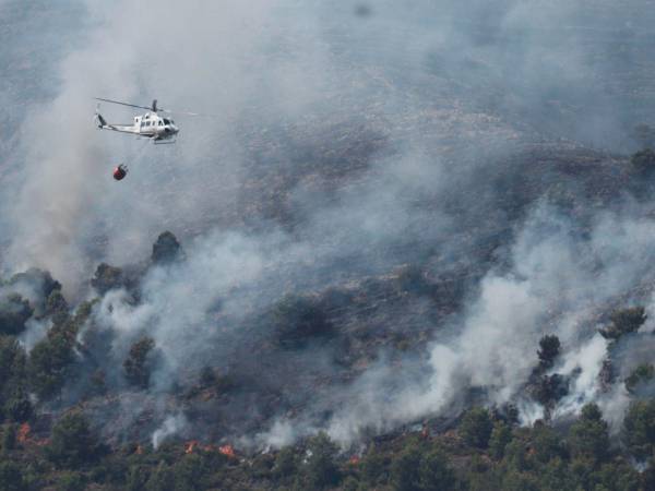 Recorrer el perímetro del incendio de Ávila, el que ya es el mayor de la historia reciente de España, es atravesar 160 kilómetros de destrucción, silencio y humo. Una sucesión de montes ennegrecidos, pueblos cercados y pequeñas islas verdes que sobrevivieron no porque el fuego las perdonara, sino porque avanzó con tanta virulencia que terminó saltando por encima de ellas.