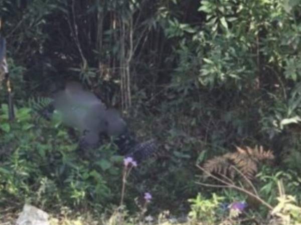 Los occisos quedaron tendidos boca abajo en medio de una calle de tierra, rodeada de árboles.