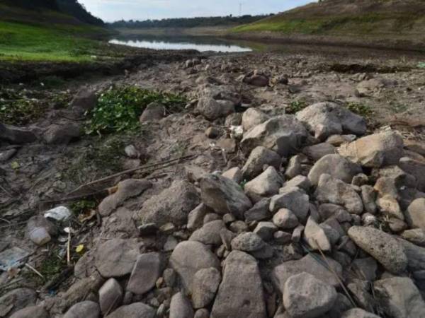 Choluteca, Valle, El Paraíso, Francisco Morazán, Comayagua y La Paz son los más afectados por la sequía.