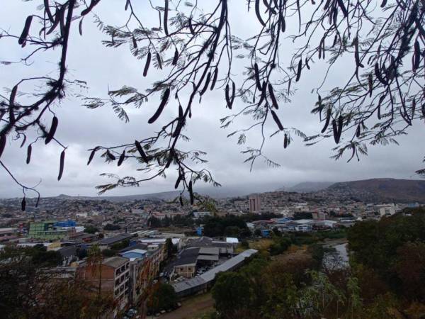 Respecto a las temperaturas, Fonseca indicó que en el occidente del país se espera una máxima de 30 grados Celsius y una mínima de 14 grados.