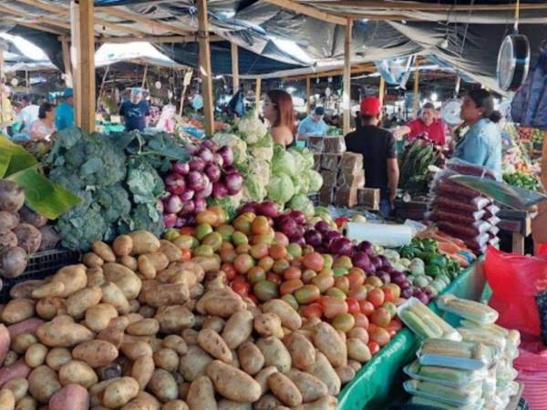La Feria del Agricultor reportó leves ajustes en frutas y verduras, aunque la mayoría de productos básicos mantiene sus precios sin cambios.