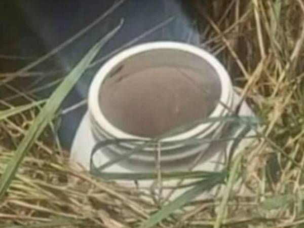 El escalofriante hallazgo generó repudio en la población de Gracias, Lempira, quienes piden justicia en el caso.