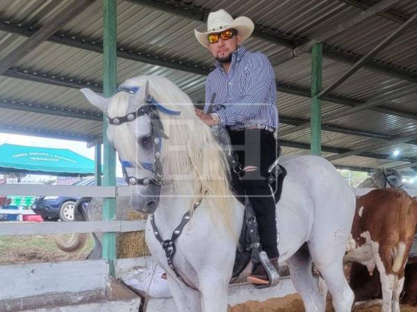 Fue la mañana del domingo cuando el cuerpo de Elmer Méndez, reconocido comerciante de ganado, fue hallado en el municipio de Catacamas, luego de haber sido reportado como desaparecido por sus familiares horas antes, cuando se dirigía a entregar un ganado. ¿Qué pasó en el trayecto?