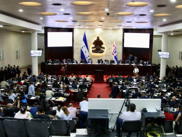 El equipo legal sostiene que durante las diligencias desarrolladas en el parlamento los señalados hicieron uso activo de herramientas legales ante el mismo pleno parlamentario.
