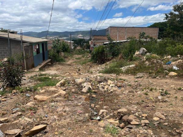 Otra residente, Flor Castro, aseguró que desde hace aproximadamente dos semanas dejaron de observar a las cuadrillas que realizaban las excavaciones para la instalación del sistema de aguas negras.