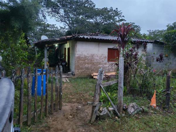 El cuerpo sin vida de don Timoteo Castillo, fue encontrado en medio de las plantas de café en el patio trasero de su casa.