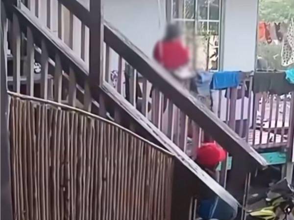 Tras hacerse viral la grabación, usuarios solicitaron la intervención de las autoridades competentes para garantizar su protección.