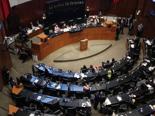 Alrededor de 10 mujeres son asesinadas cada día y menos de una cuarta parte se investiga.