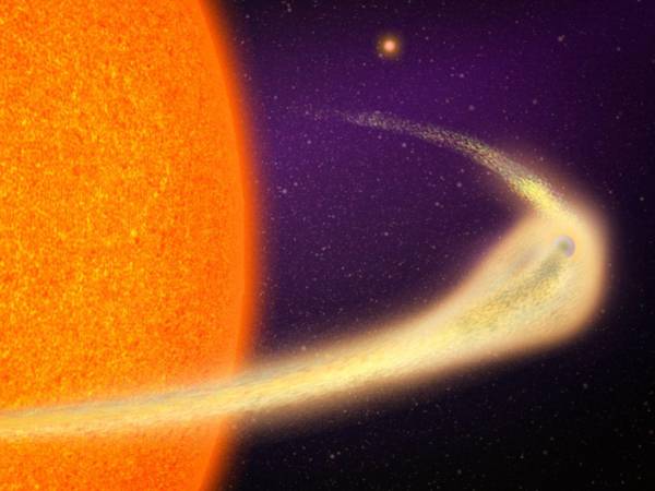 Imagen tomada por la Universidad de Massachusetts.