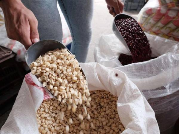 Los precios de los granos básicos registran aumento en julio de cada año y es a partir de septiembre que comienzan a bajar por la cosecha de primera.