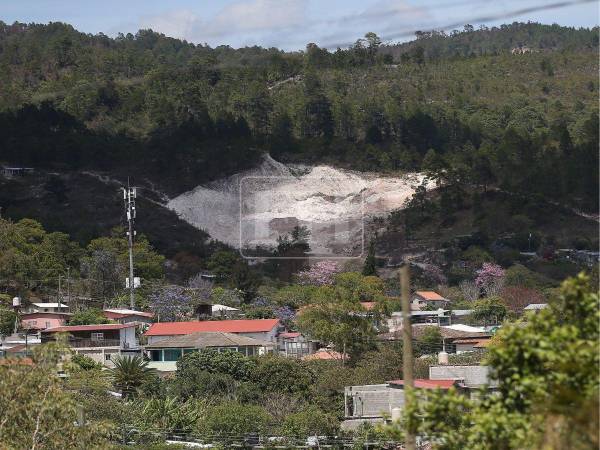 En tan solo 11 años, es decir, de 2013 a 2024, Honduras perdió el 7.3 % de su cobertura forestal, según el informe Estado de País 2026: Cambio climático, bosques y vida en riesgo, elaborado por el Instituto de Justicia y la Asociación para una Sociedad más Justa (ASJ).