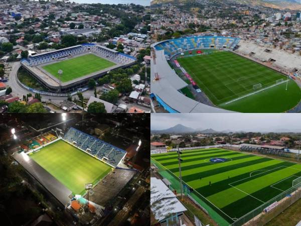 Estos son los imponentes estadios que albergarán los partidos del torneo Apertura 2025. La mayoría cuentan de grama de primer nivel.
