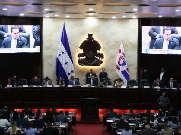 El lunes 25 de mayo se presentará la nómina final de quienes podrán ocupar los cargos en el CNE y TJE.