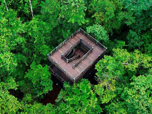 Honduras cuenta con una extensa red de zonas protegidas que se presentan como una alternativa interesante para aquellos que durante la Semana Santa 2026 están en busca de naturaleza, clima fresco y actividades al aire libre.