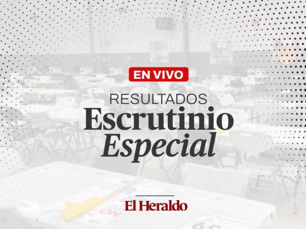 El escrutinio especial podría definir al ganador del nivel presidencial de las elecciones celebradas el pasado 30 de noviembre.